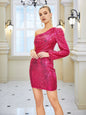 Women Clothing One Shoulder Sleeve Slim Dress Sequined Midi Dress