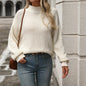 Autumn Winter Small Turtleneck Solid Color Sweater Pullover Office Long Sleeve Sweater for Women