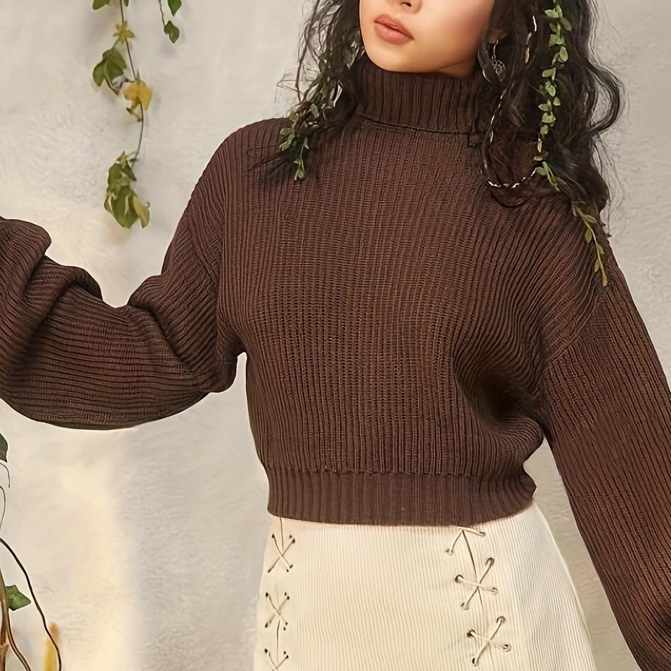 Autumn Winter Wear Simple Turtleneck Pullover Sweater