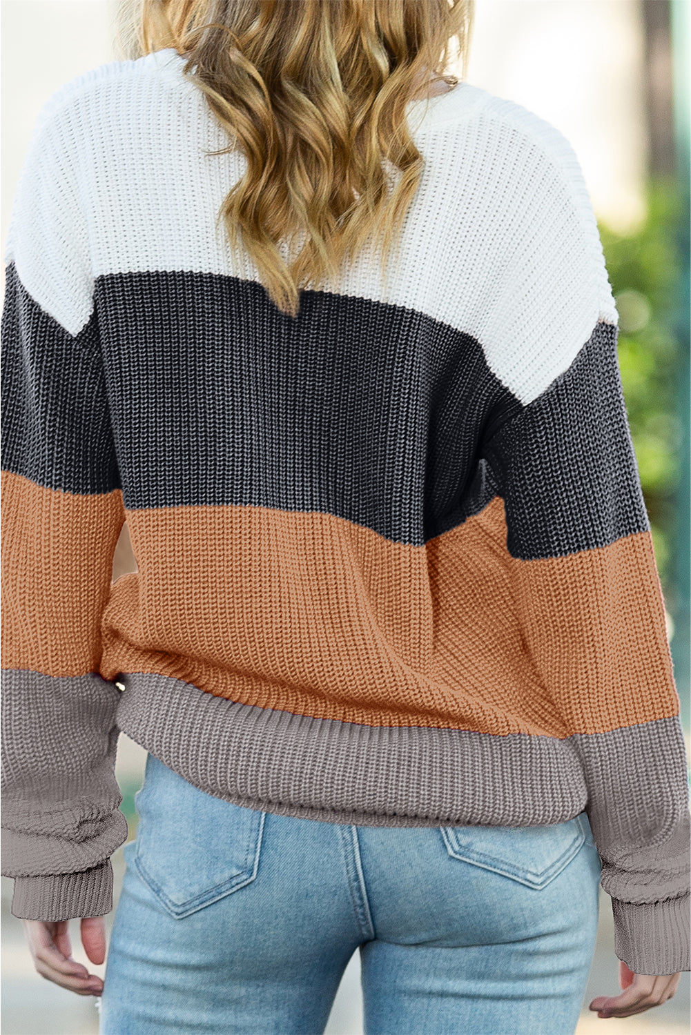 Chestnut Color Block Casual Knit Pullover Sweater