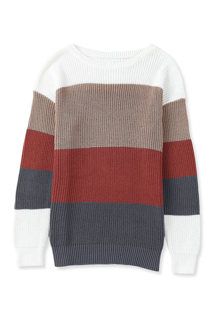 Chestnut Color Block Casual Knit Pullover Sweater