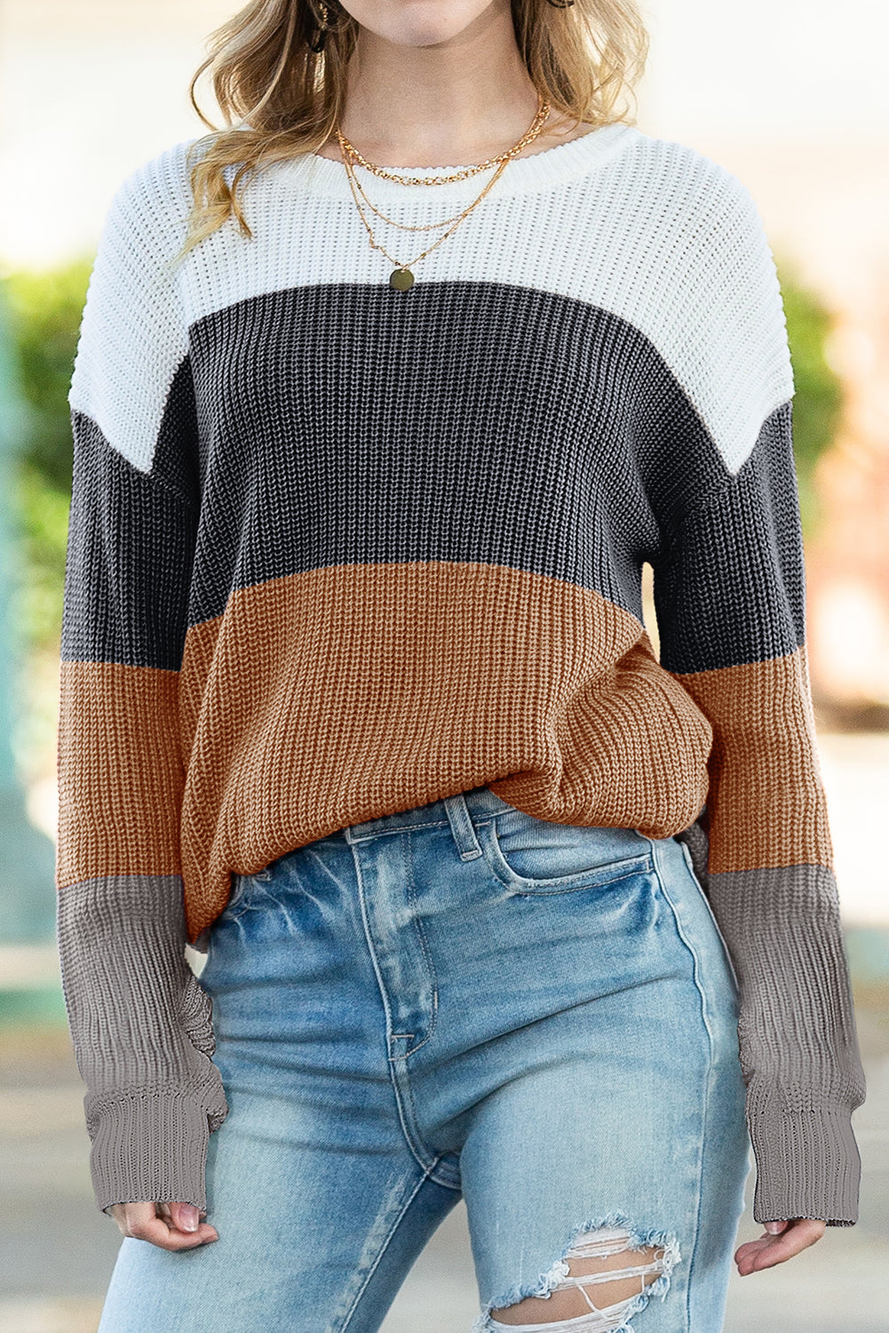 Chestnut Color Block Casual Knit Pullover Sweater