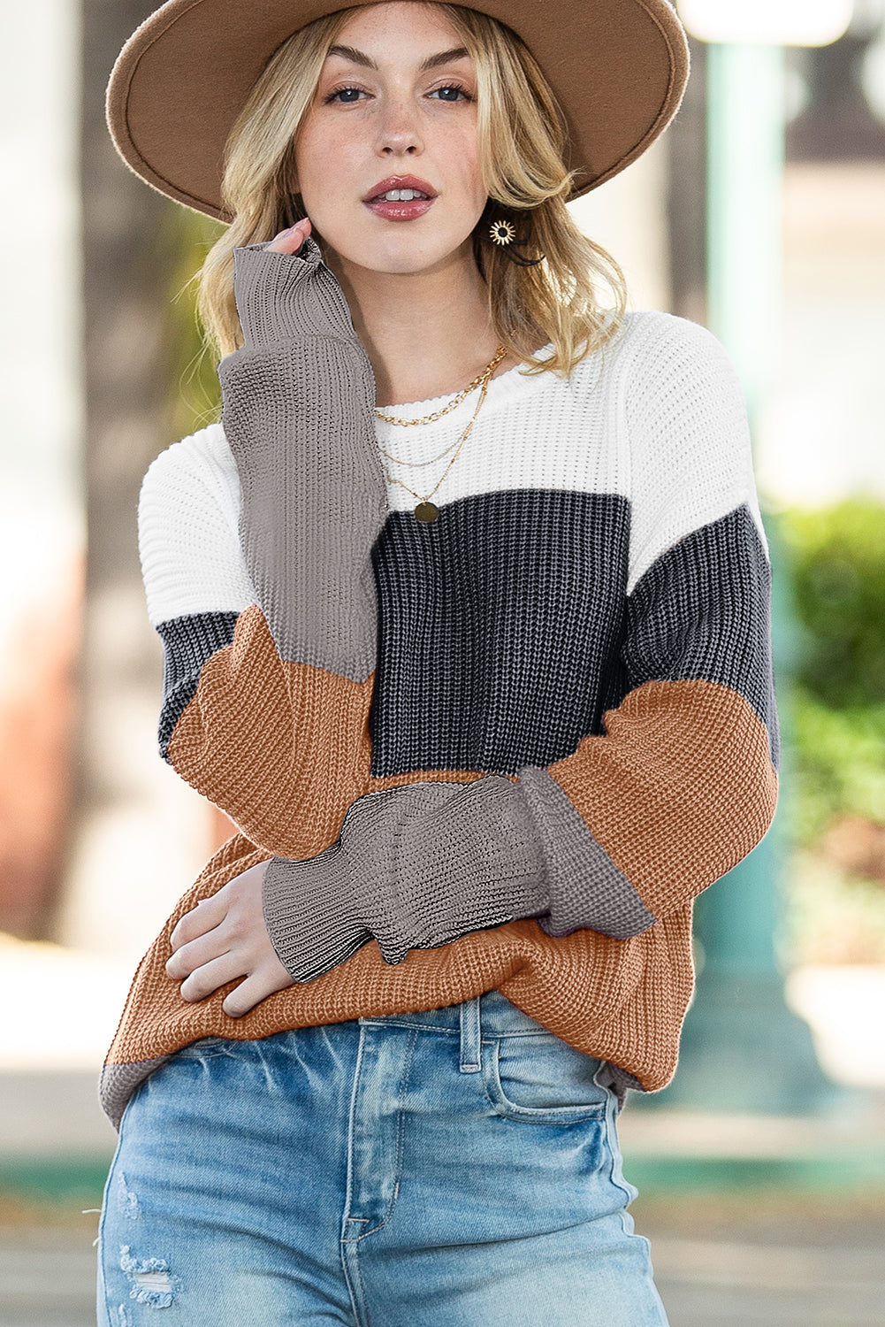 Chestnut Color Block Casual Knit Pullover Sweater