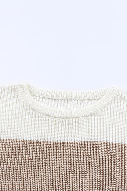 Chestnut Color Block Casual Knit Pullover Sweater