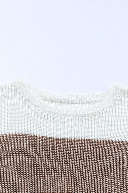 Chestnut Color Block Casual Knit Pullover Sweater