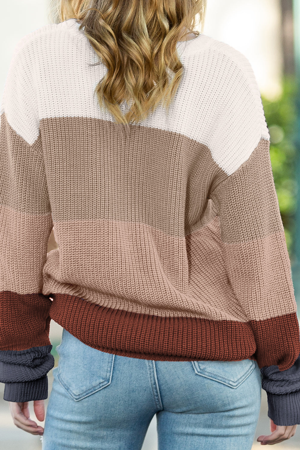 Chestnut Color Block Casual Knit Pullover Sweater