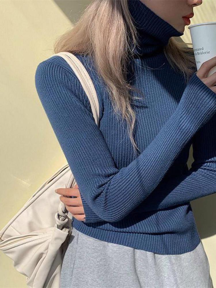 Сlara Solid Basic Knitted Sweater