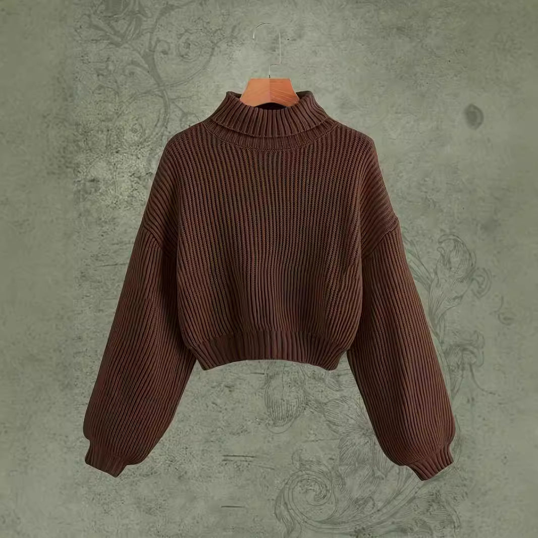 Autumn Winter Wear Simple Turtleneck Pullover Sweater