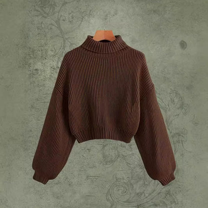 Autumn Winter Wear Simple Turtleneck Pullover Sweater