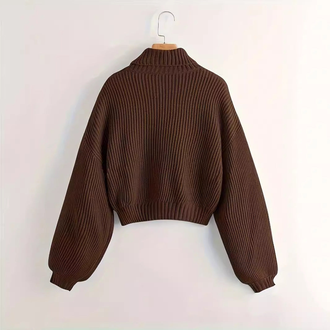 Autumn Winter Wear Simple Turtleneck Pullover Sweater