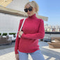 Women Clothing Everyday Pullover Sweater Turtleneck Long Sleeve Simple Basic Sweater Top