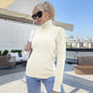 Women Clothing Everyday Pullover Sweater Turtleneck Long Sleeve Simple Basic Sweater Top