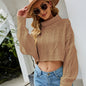 Autumn Winter Solid Color Turtleneck Pullover Knitwear Short Twisted Loose Knitted Sweater