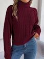 Autumn Winter Casual Turtleneck Twist Long Sleeve Knitted Pullover Sweater Women Clothing