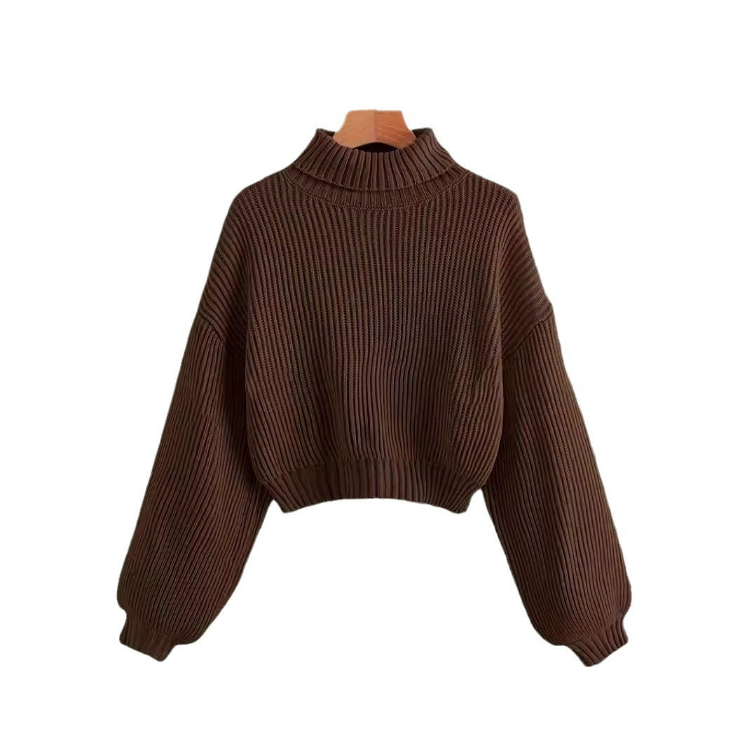 Autumn Winter Wear Simple Turtleneck Pullover Sweater