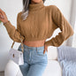 Autumn Winter Casual Twist Long Sleeve Turtleneck cropped Sweater Women Clothing