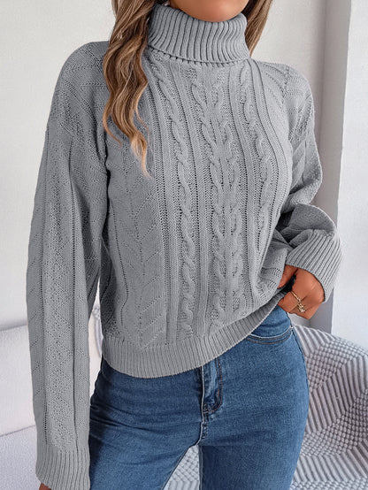 Autumn Winter Casual Turtleneck Twist Long Sleeve Knitted Pullover Sweater Women Clothing
