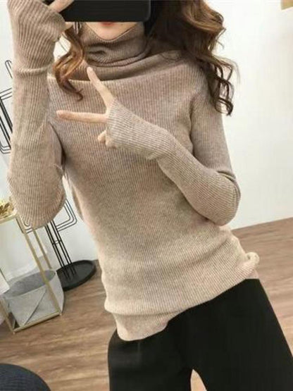 Сlara Solid Basic Knitted Sweater