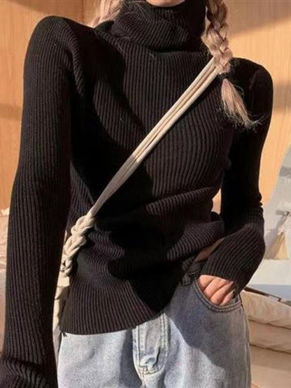 Сlara Solid Basic Knitted Sweater