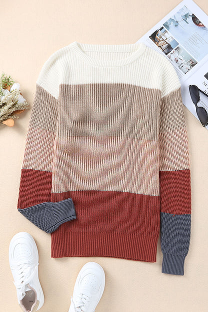 Chestnut Color Block Casual Knit Pullover Sweater