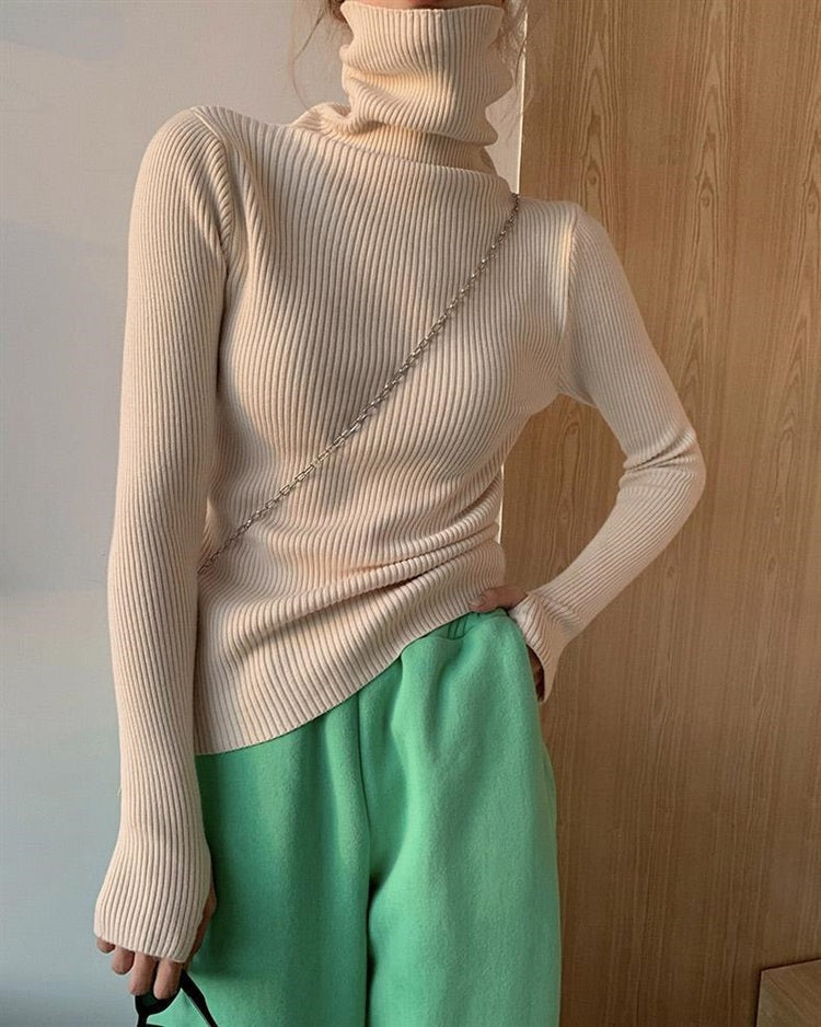 Сlara Solid Basic Knitted Sweater