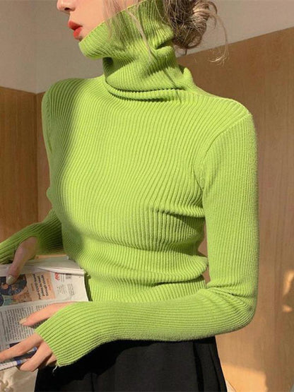 Сlara Solid Basic Knitted Sweater