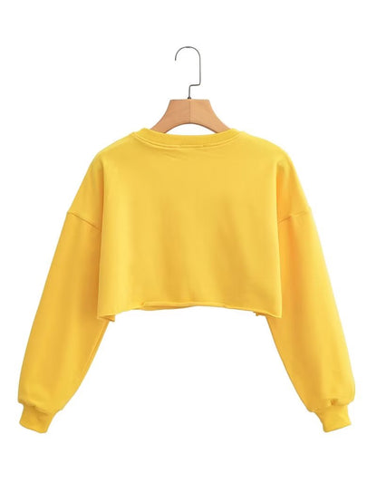 Spring Cropped Sweater Round Neck Loose Long Sleeves Pullover Sweater Women