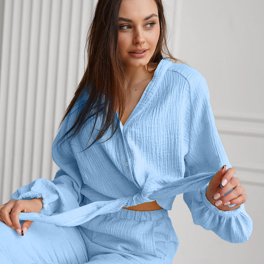 Autumn Winter Blue Color Simple Outdoor Long Sleeved Trousers Pajamas Two Piece Set Home Wear for Women