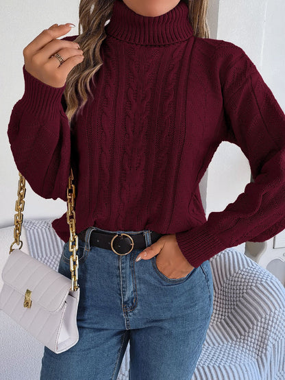 Autumn Winter Casual Turtleneck Twist Long Sleeve Knitted Pullover Sweater Women Clothing