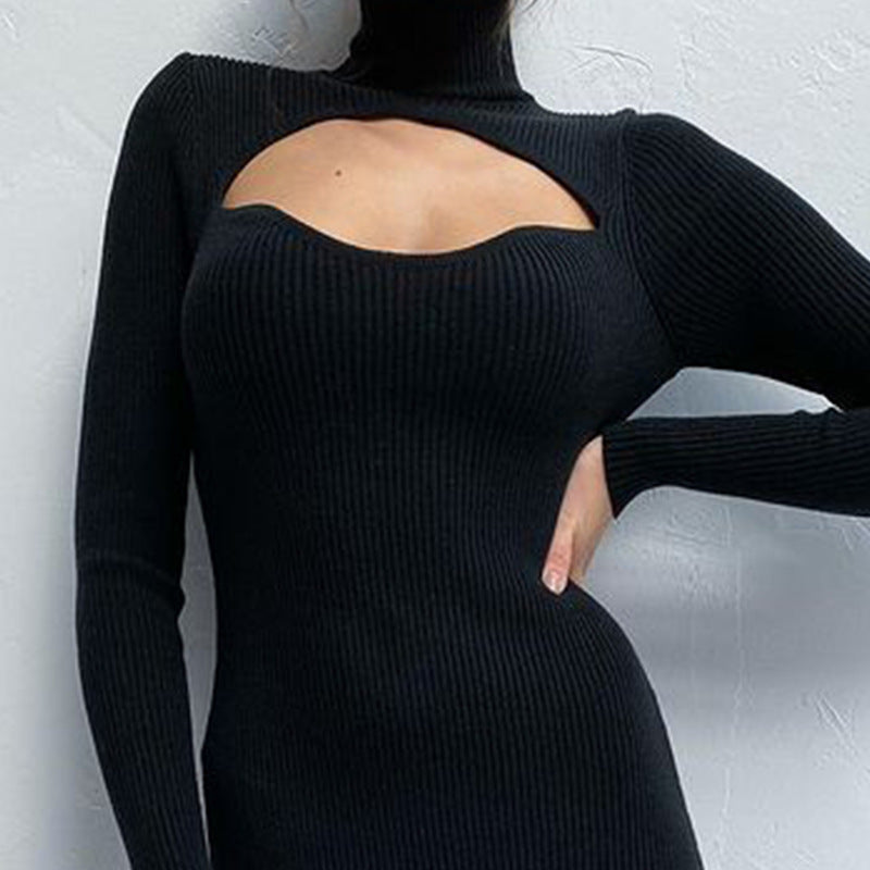 Hollow Out Cutout Knitted Long Sleeve Turtleneck Dress Casual Sexy Women  Commuting Wear Dress