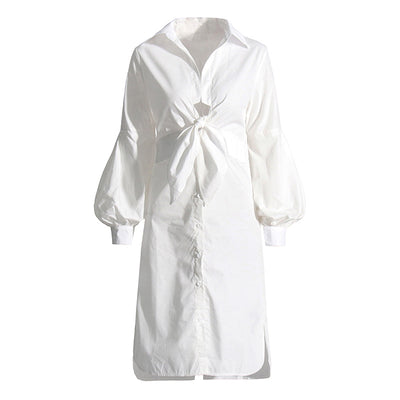 Elegant Shirt Dress Spring Polo Collar Long Sleeve Waist Slimming Dress